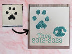 Paw Print Canvas 20x20cm